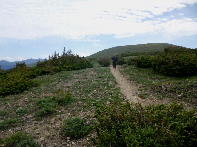 Dad descends to Forest Canyon Pass