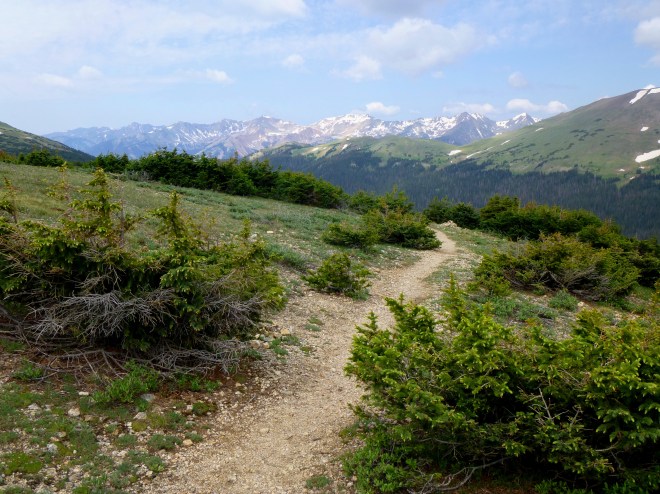 Never Summer Mountains from the Ute Trail