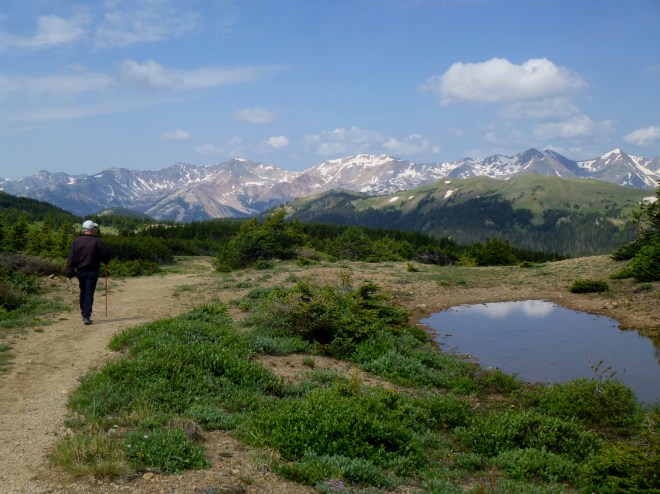 Ute Trail near Forest Canyon Pass, July 2013