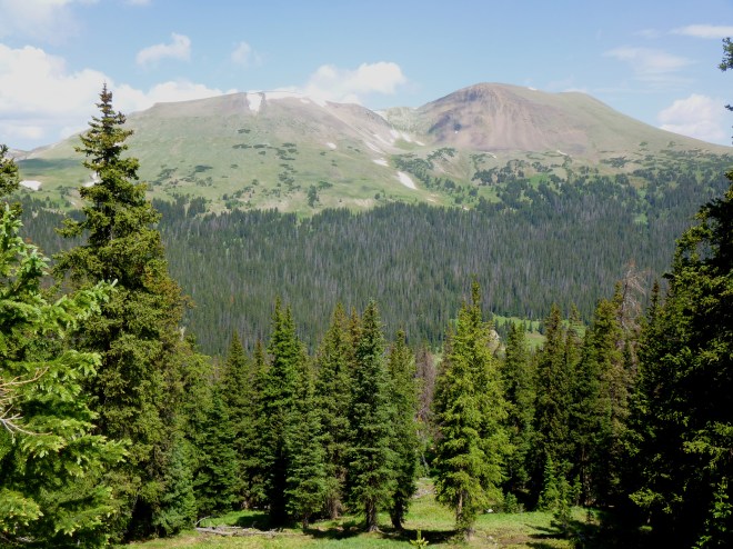 Specimen Mountain through the trees