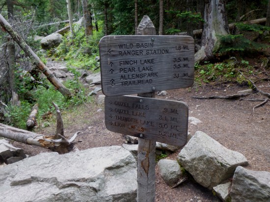 Junction w/ Allenspark Trail