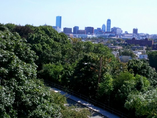 View from Prospect Hill
