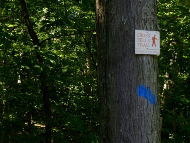 Trailhead at Goodyear Avenue in Melrose