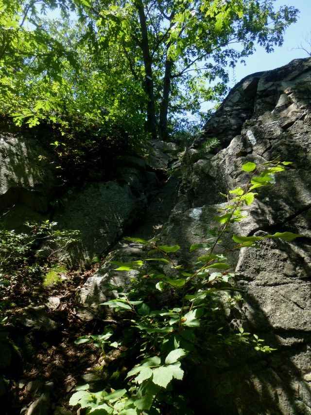 Climbing rock #1