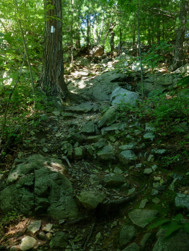 Rock Circuit Trail beyond MIT Observatory