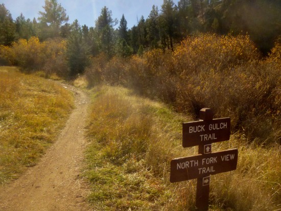 Start of Buck Gulch Trail