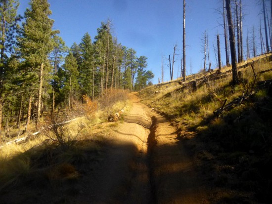 Strawberry Jack Trail