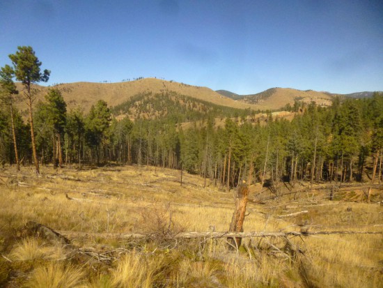 Unnamed peak (~7,900') across Pine Valley