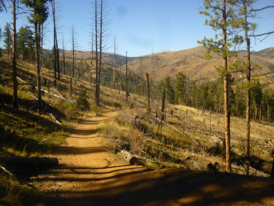 Views of Mount Logan (12,870') and Rosalie Peak (13,575') from the Strawberry Jack Trail