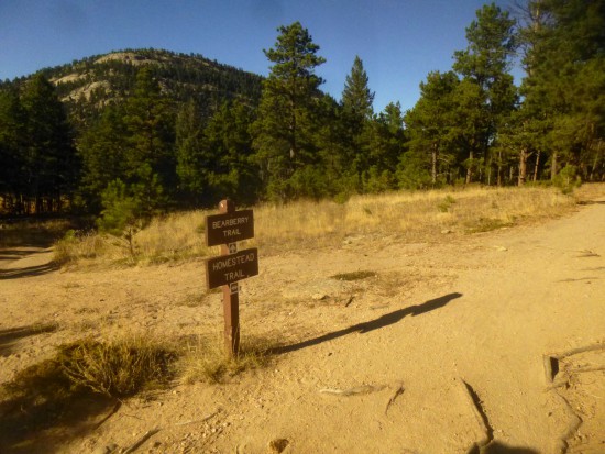 Homestead & Bearberry Trail junction
