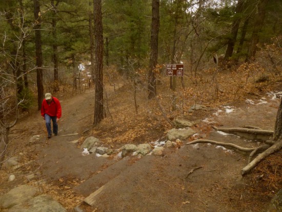 Through the woods, at the Westside Trailhead spur