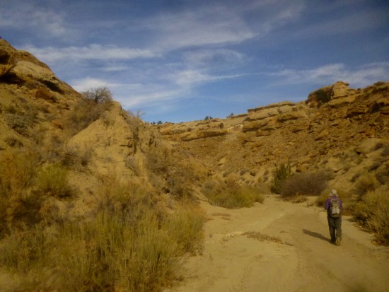 West fork, Bitter Spring Creek Canyon, Capitol Reef National Park