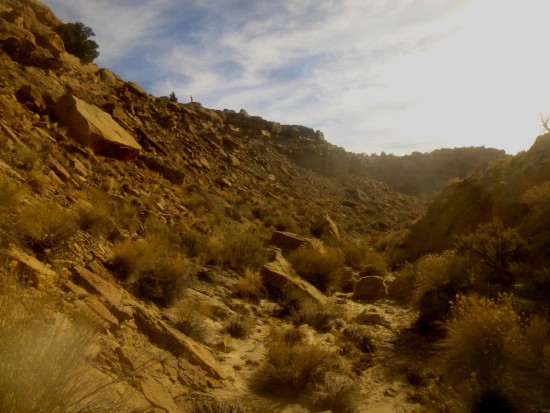 Bitter Spring Creek Canyon, Capitol Reef National Park, December 2014