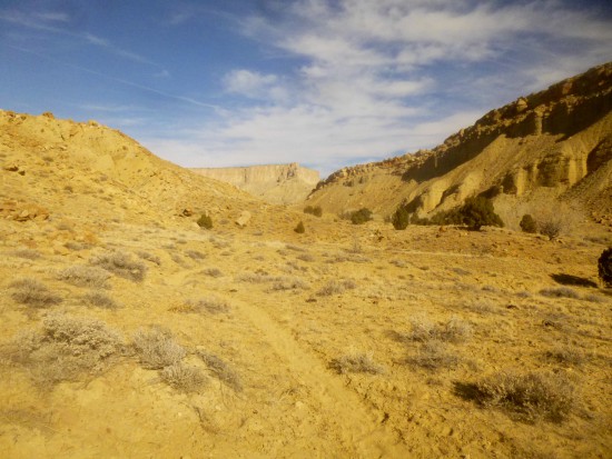 Cattle trail leading back into Bitter Spring Creek Canyon and toward Tarantula Mesa, Capitol Reef National Park