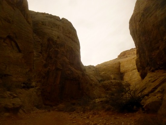 Navajo sandstone cliffs in Grand Wash, displaying black desert varnish