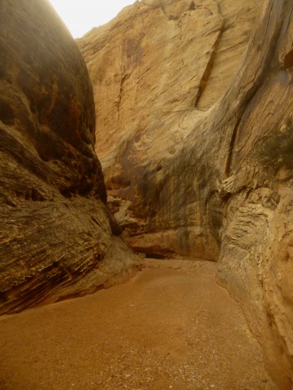 The Narrows in Grand Wash, Capitol Reef National Park