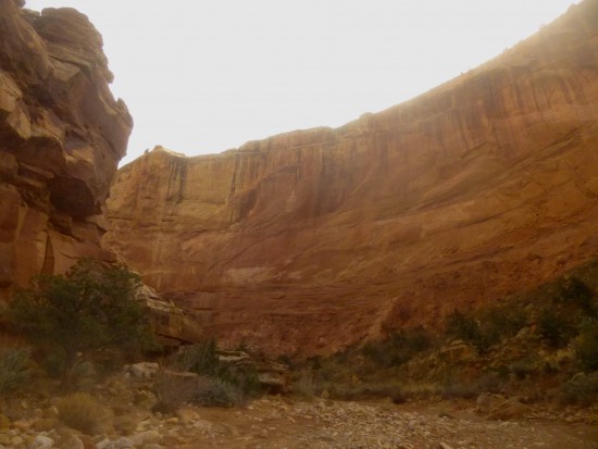 Wingate sandstone cliffs at the Grand Wash Trailhead parking area, Capitol Reef National Park