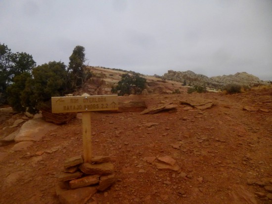 Rim Overlook, Capitol Reef National Park