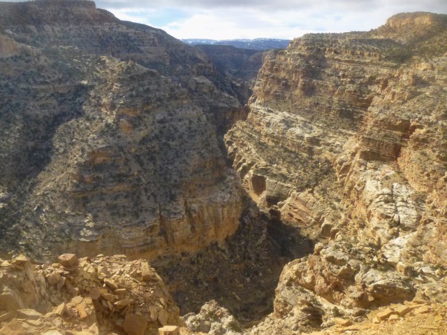Stunning view from Fremont Gorge Overlook