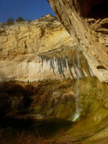 Upper Calf Creek Falls from the shady alcove, Grand Staircase-Escalante National Monument
