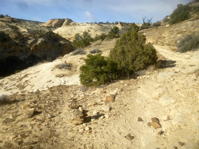 Trail split: bear left for the base of the falls, bear right for the top