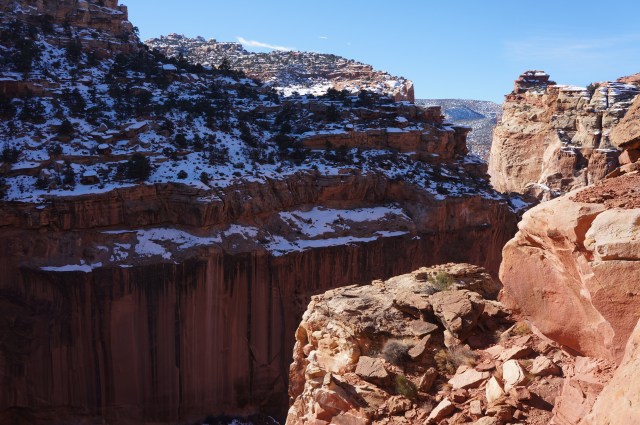 Views of Grand Wash along the Cassidy Arch Trail