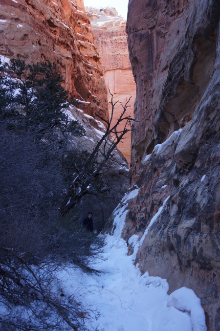 Right (north) fork of Frying Pan Canyon, detour off the Frying Pan Trail in Capitol Reef National Park