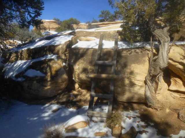 Wooden ladder - a staple of hiking in Natural Bridges - along the Mesa Trail