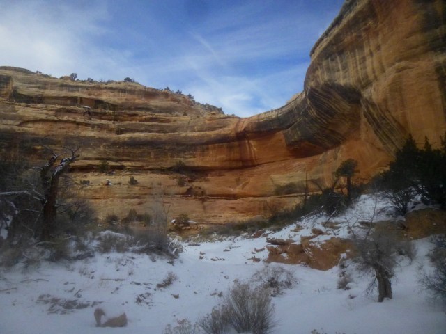 Cedar Mesa sandstone walls in White Canyon