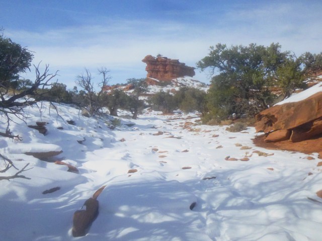 Point 6,230', Capitol Reef National Park, January 2015