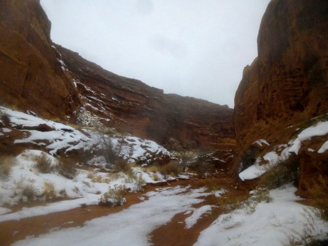 Stair Canyon, approaching the narrows section