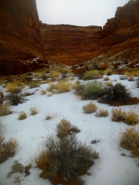 Stair Canyon, North Wash area, Utah