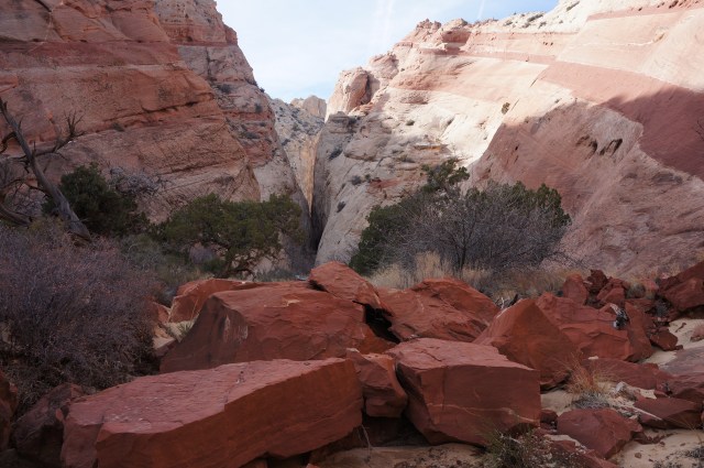 Pink-ribboned walls, followed by the Headquarters slot, Capitol Reef National Park