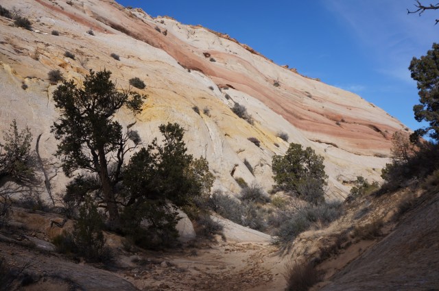 Pink ribbon wave in Surprise Canyon, Capitol Reef National Park