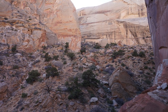 Near the head of Surprise Canyon, after ascending talus slope on the right