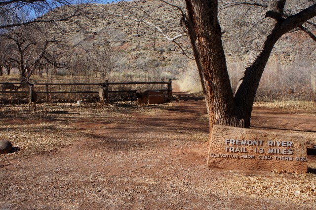 Fremont River Trailhead at Loop B of the Campground - I am not alone...