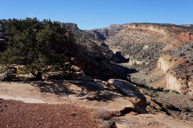 Fremont Gorge from the Fremont River Trail, Capitol Reef National Park