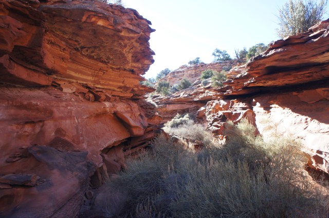 Exploring a different drainage in the area