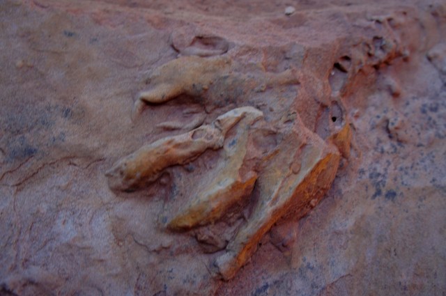 This is what you think it is - sort of...