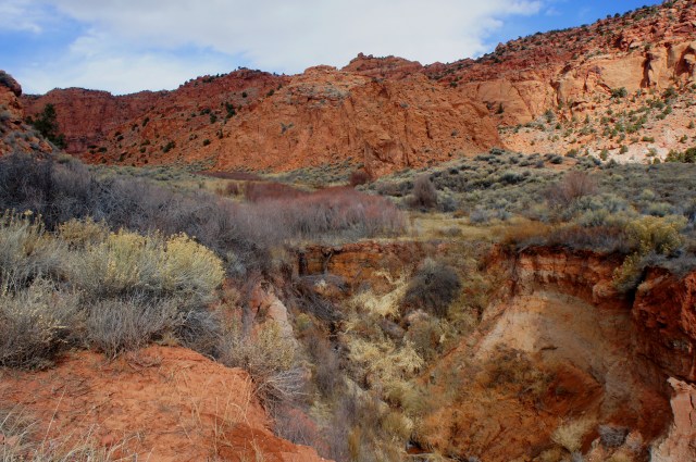 Start of Hemlock Meadow, preceded by a nasty cut bank and a small waterfall