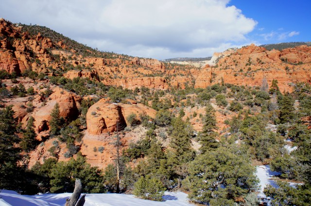 Outstanding view of Upper Red Canyon, Sunglow area, Fishlake National Forest