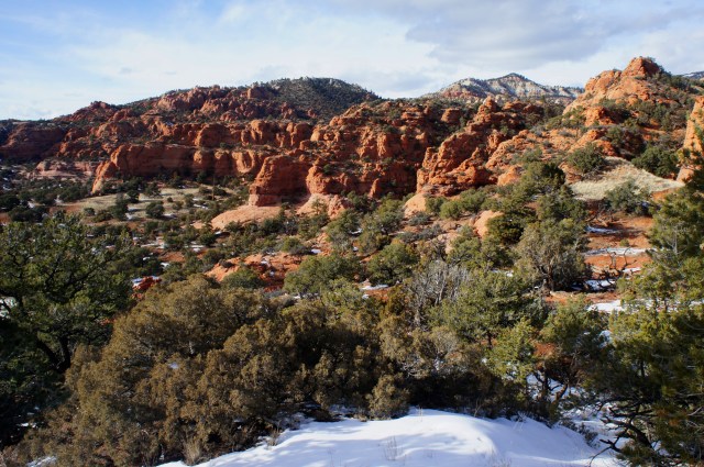 Late afternoon sun on the Wingate cliffs