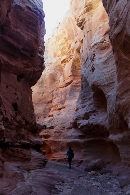 Sheets Gulch, Capitol Reef National Park, February 2015