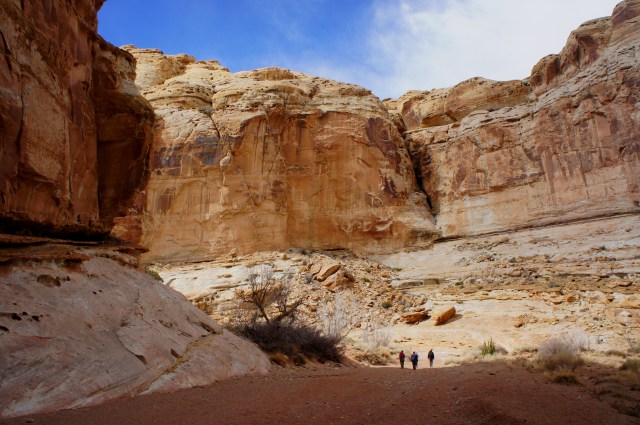 High walls of Navajo sandstone, Little Wild Horse Canyon