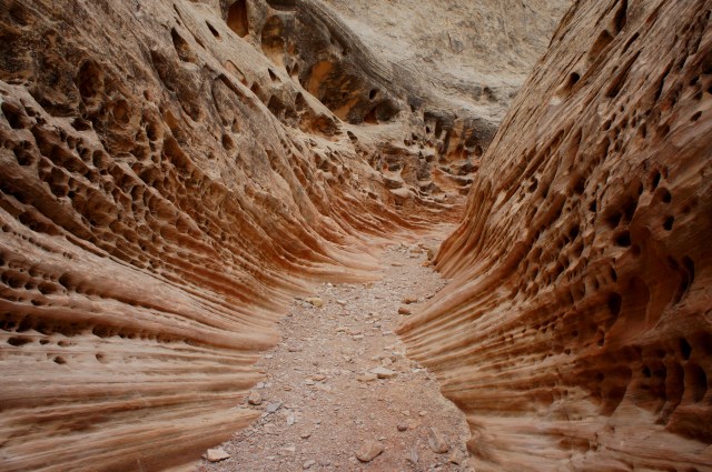Little Wild Horse Canyon, San Rafael Swell, February 2015