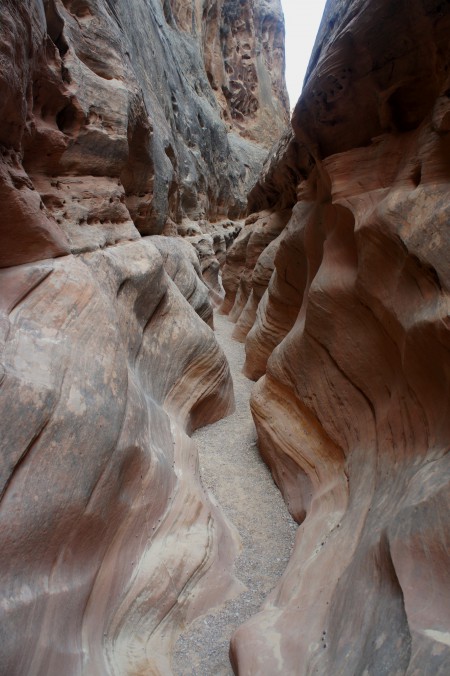 First slot section, Little Wild Horse Canyon