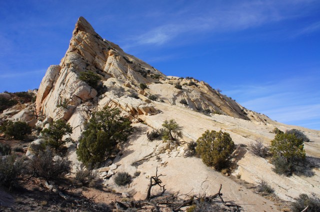 Navajo sandstone ridge to the north