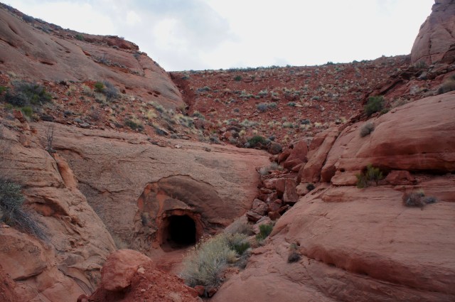 Tunnel under Utah Highway 276, Lower Maidenwater Canyon