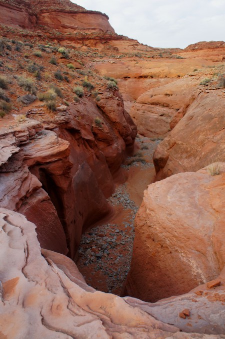 25-foot dryfall in Lower Maidenwater Canyon, bypassed via a trail on the left
