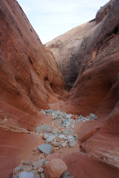 Maidenwater Canyon begins to narrow, just before an impressive display of desert varnish